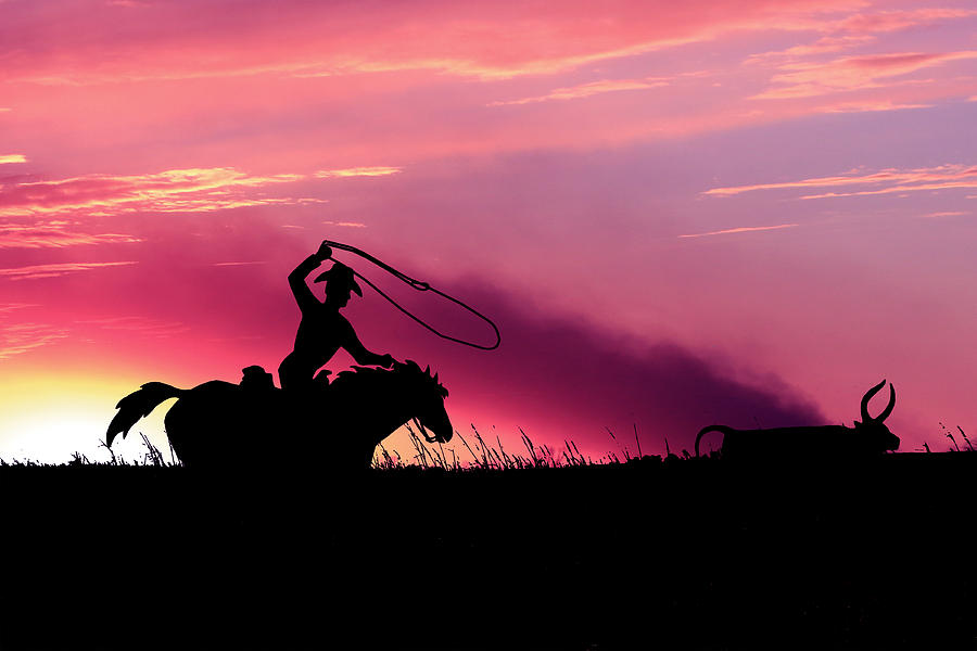Cowboy Silhouette Photograph by Christopher McKenzie