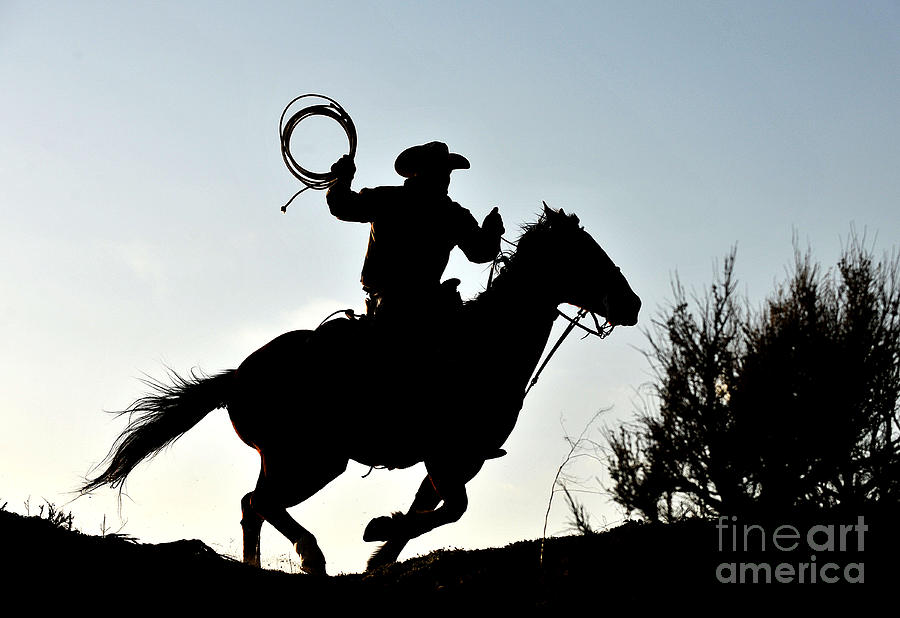 Cowboy #1120 Photograph by Carien Schippers