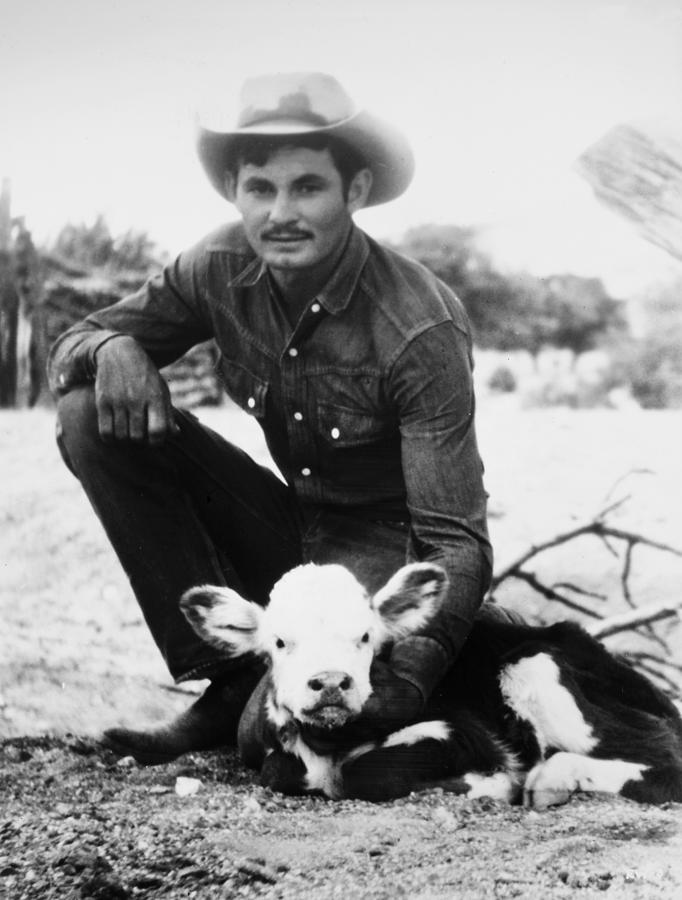 COWBOY, 20th CENTURY Photograph by Granger