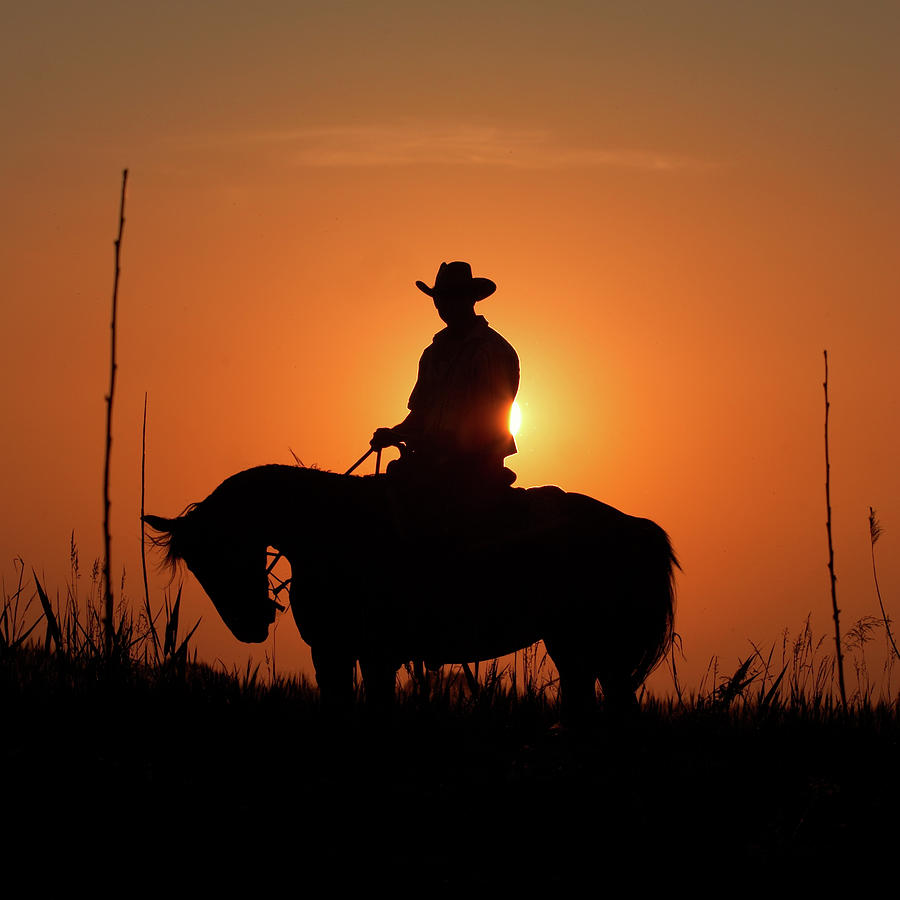 Cowboy silhouette. 