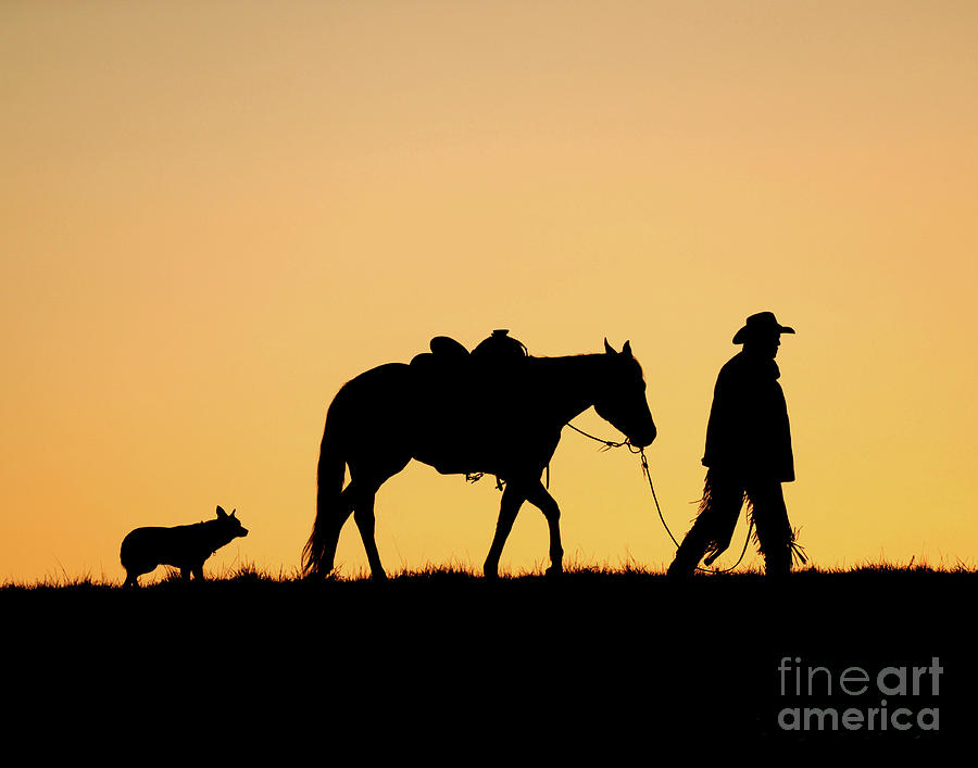 Cowboy and his horse and dog at sunrise Photograph by Carien Schippers