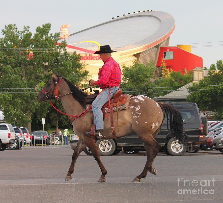 Cowboy and Saddledome Photograph by Donna L Munro