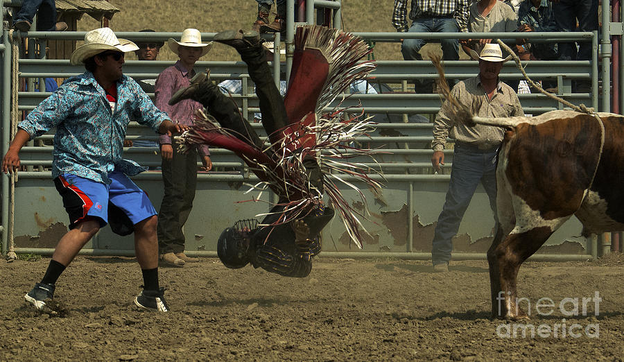 Bull Photograph - Cowboy Art 6 by Bob Christopher