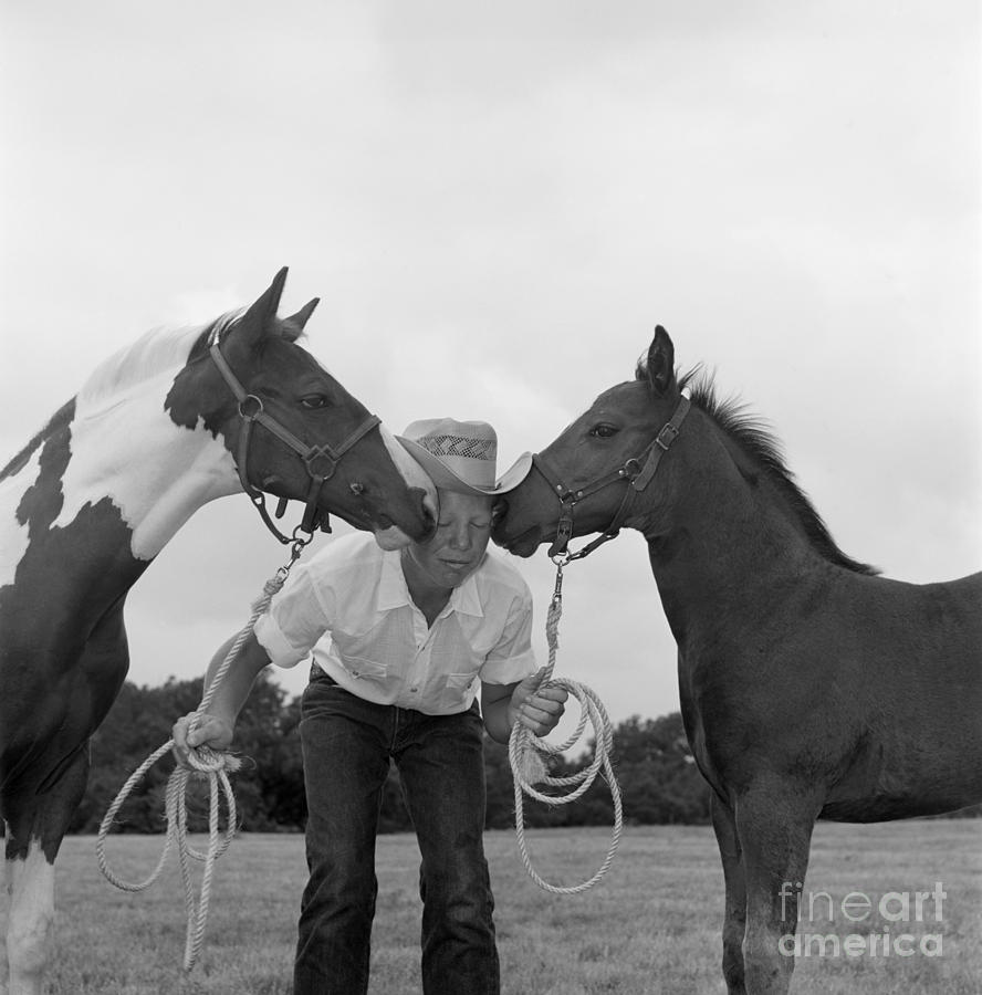 Cowboy Between Two Horses, C.1960s Photograph by B. Taylor/ClassicStock