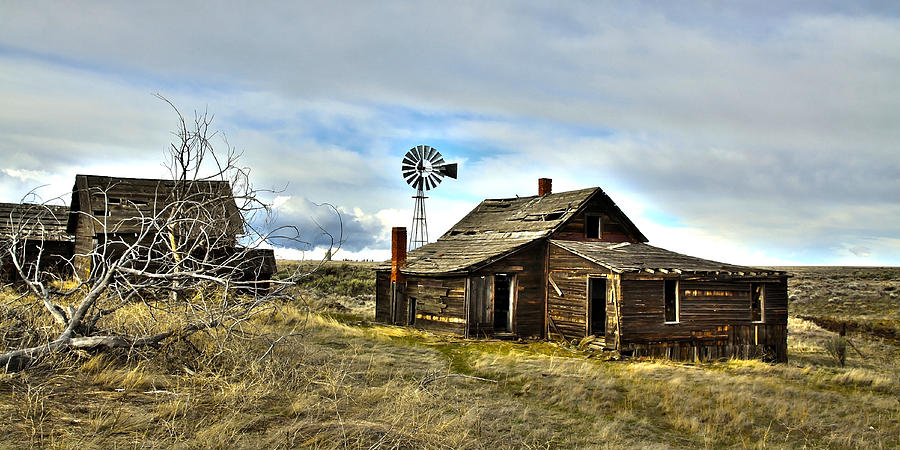 Cowboy Cabin Photograph by Steve McKinzie