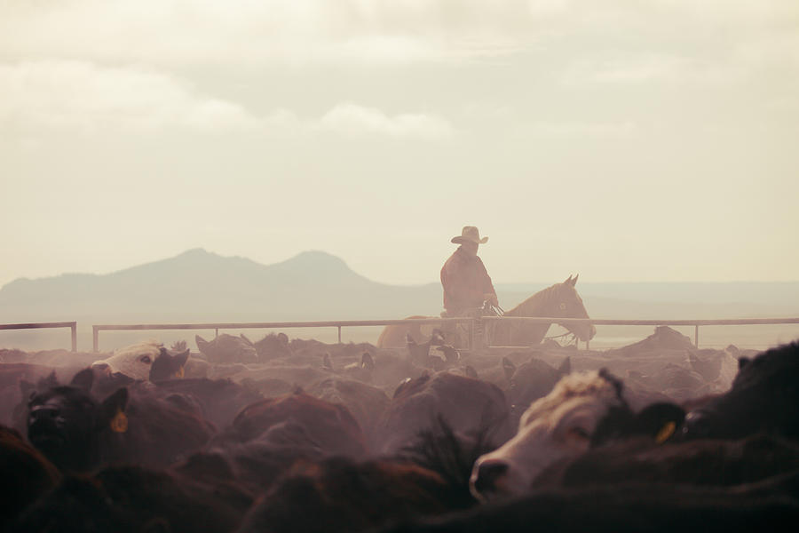 Cowboy Dawn Photograph by Todd Klassy
