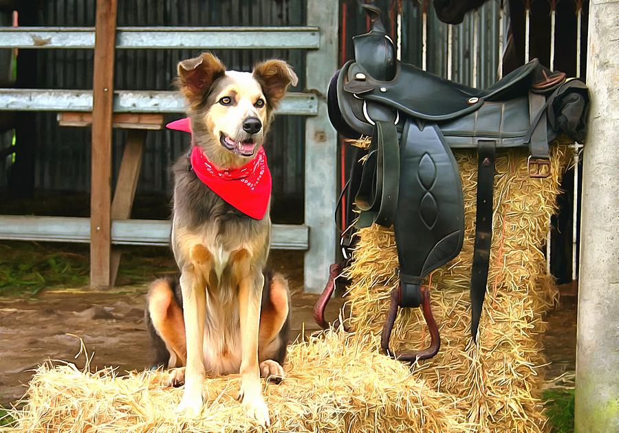 Dog Photograph - Cowboy Dog by Studio Artist