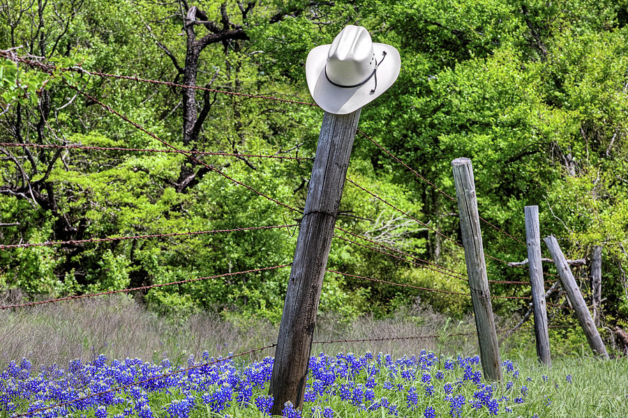 Cowboy Hats and Bluebonnets Photograph by JC Findley