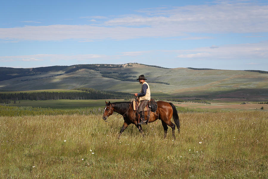 Cowboy Landscapes Photograph by Diane Bohna