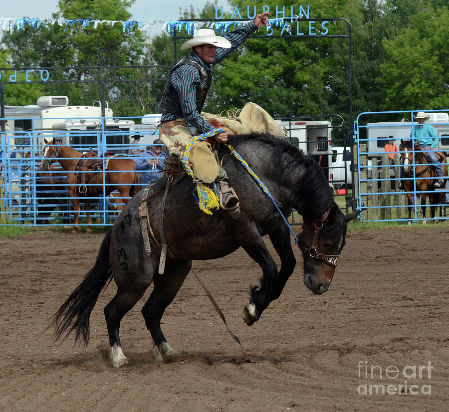 Rodeo Life 13 Photograph by Bob Christopher