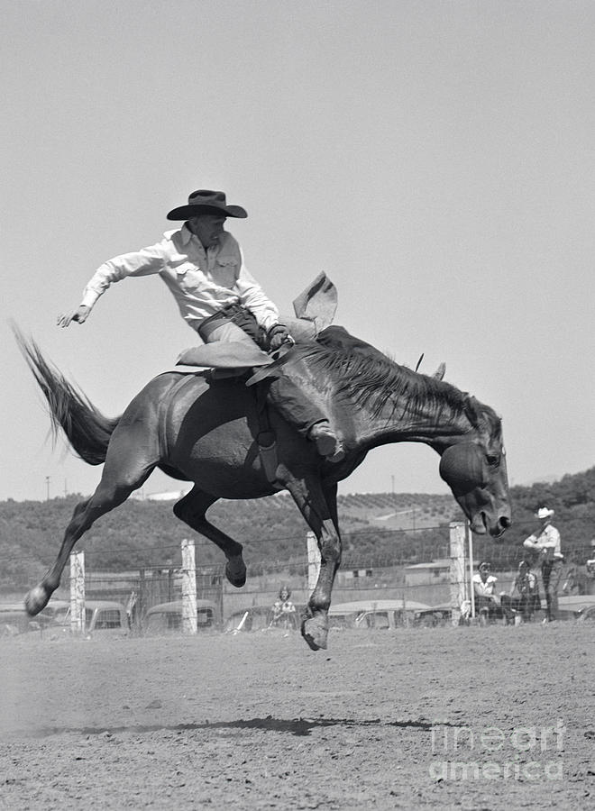 Cowboy On Bucking Horse, C.1950s Photograph by Pound/ClassicStock