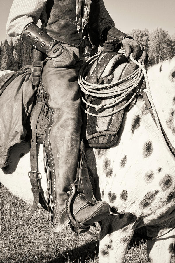 Cowboy on His Mount bw Photograph by Jerry Fornarotto