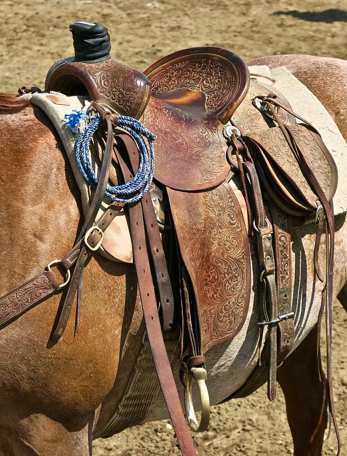 Cowboy Saddle Photograph by Daniel Miller