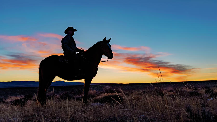 Cowboy Sunrise Photograph by David Soldano