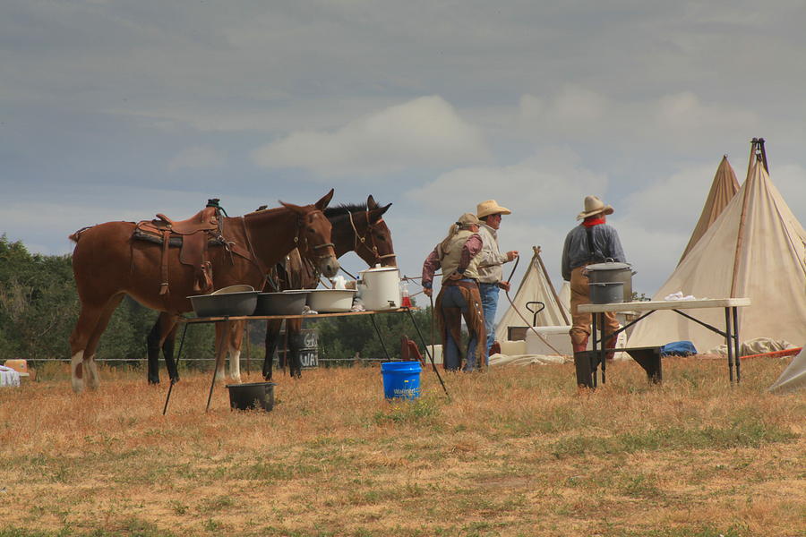 Cowboy Symposium Photograph by Michael Janis Fine Art America