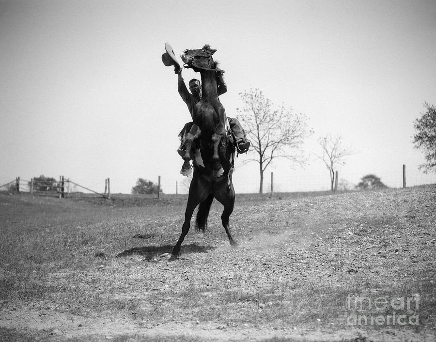 Cowboy Waving Hat On Rearing Horse Photograph by H. Armstrong Roberts/ClassicStock
