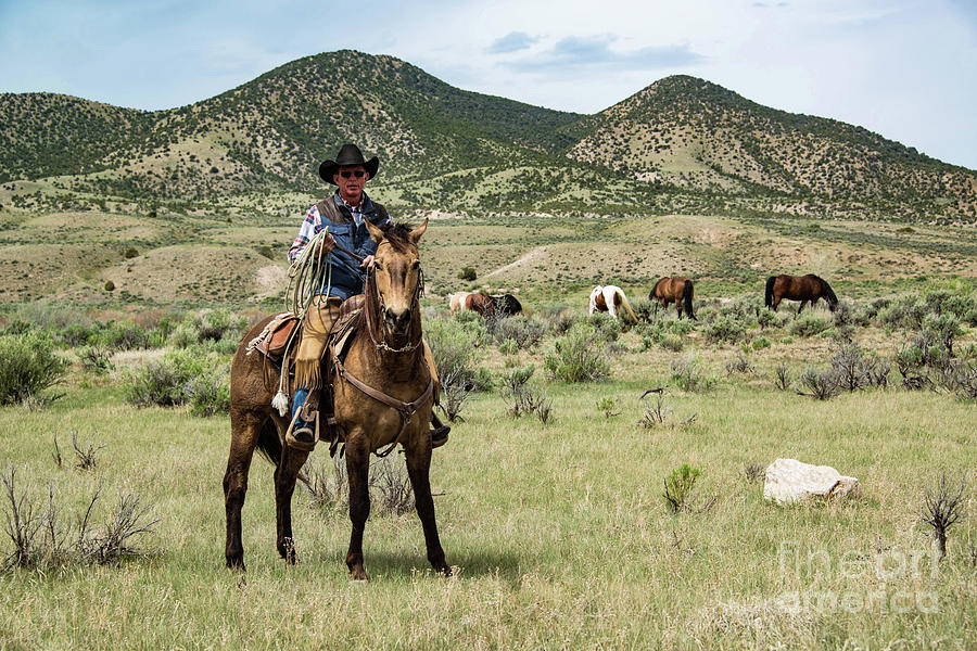 Top 60+ imagen wrangler ranch