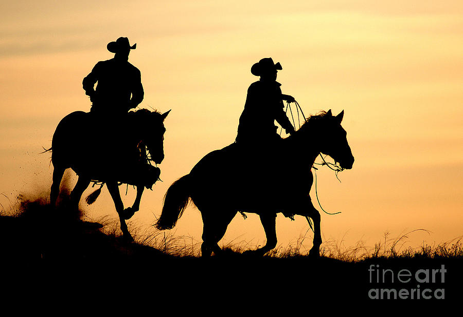 Horse Photograph - Cowboys #2394 by Carien Schippers