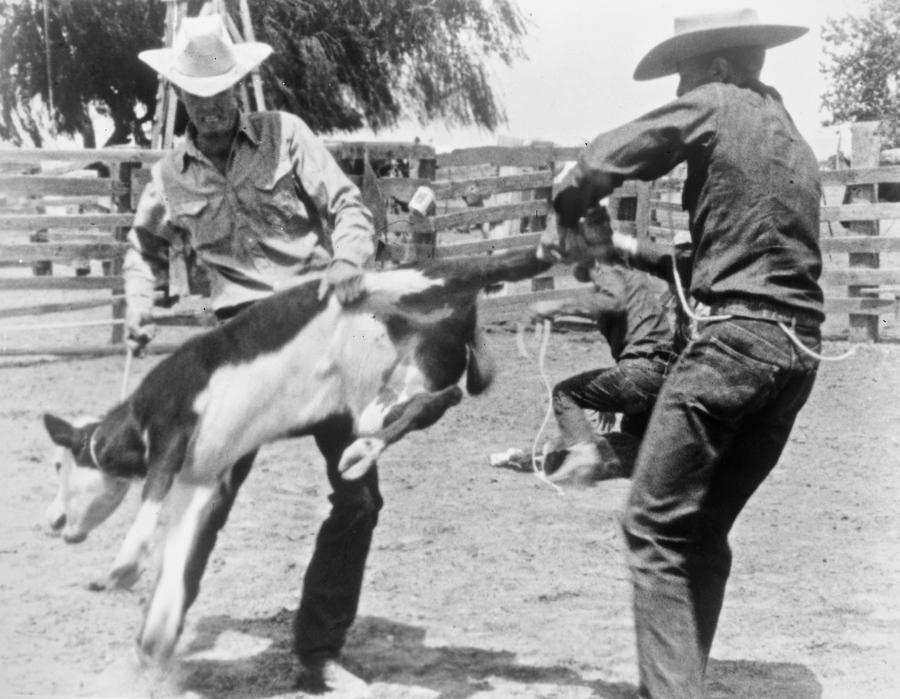 COWBOYS, c1950 Photograph by Granger