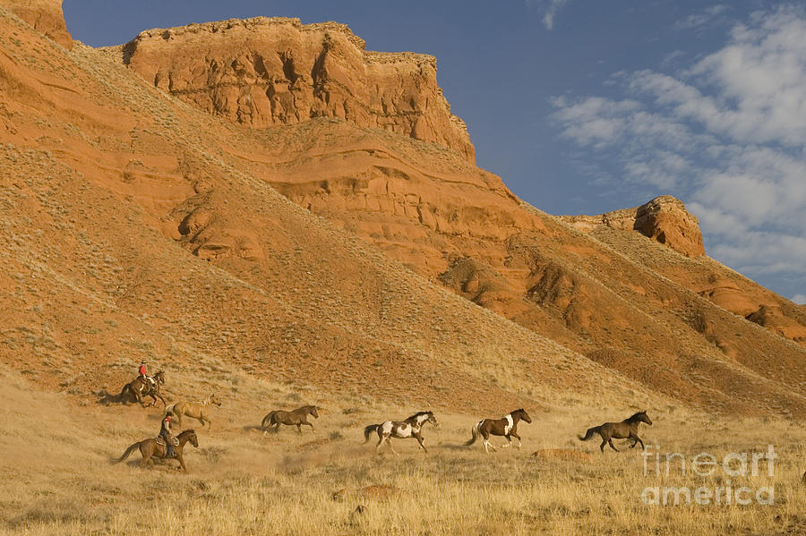 Cowboys Chasing Horses Photograph by Jean-Louis Klein & Marie-Luce Hubert