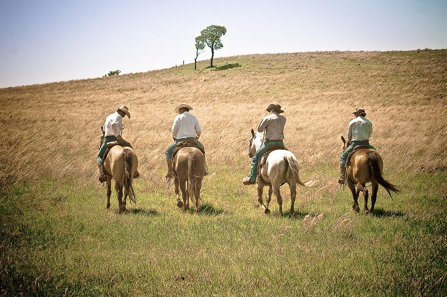 Horse Photograph - Cowboys by Greg Martin