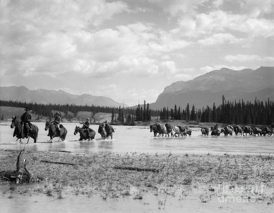 Cowboys Riding Through River, C.1930s Photograph by H. Armstrong Roberts/ClassicStock