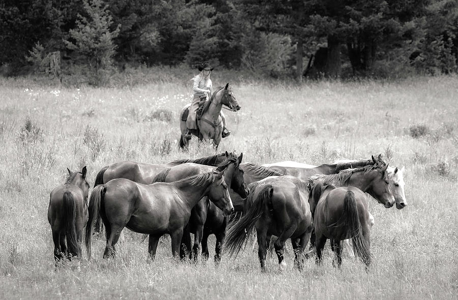 Cowgirls Horse Ranch Photograph by Athena Mckinzie
