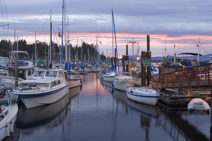 Cowichan Bay Boats Photograph by Kevin Oke