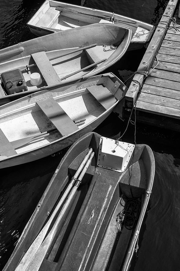 Cowichan Dinghies  Photograph by Ginger Stein
