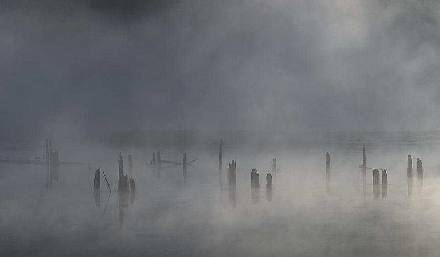 Cowichan Mist Photograph by Randy Hall