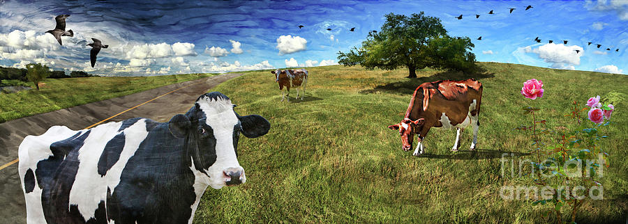 Cows in field, ver 3 Photograph by Larry Mulvehill