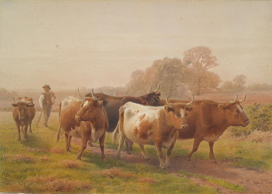 Cows in landscape, 1901, United Kingdom, by Henry Birtles. Painting by Celestial Images
