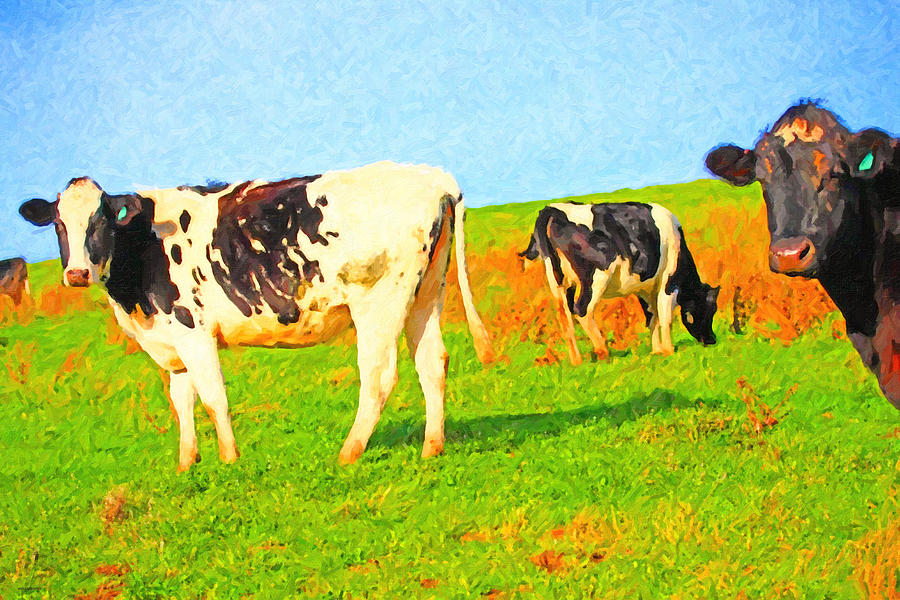 Cows on a Hill 2 - Photoart Photograph by Wingsdomain Art and Photography