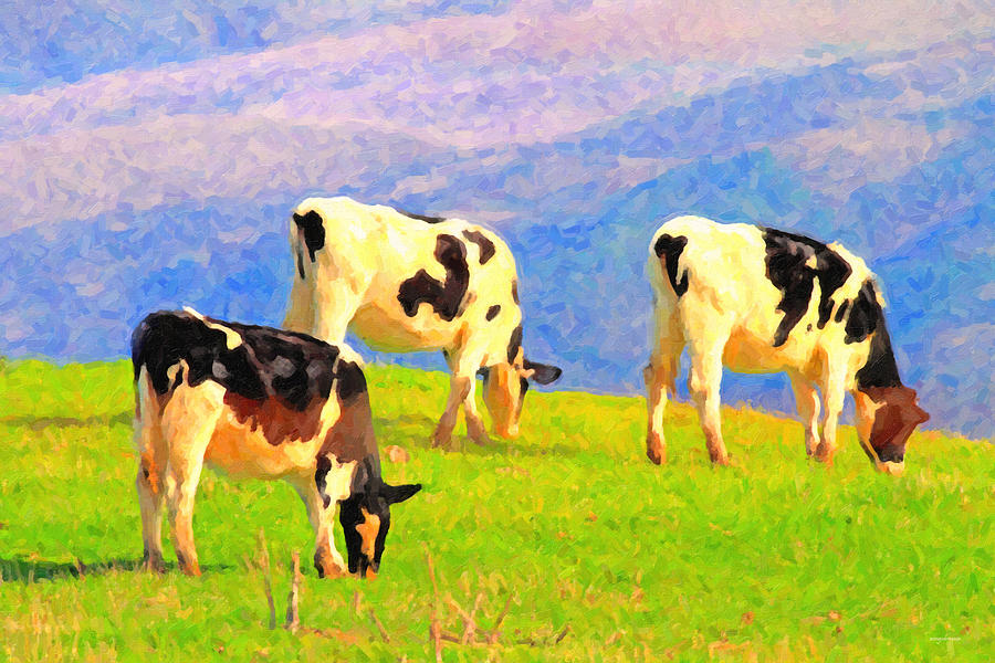 Cows on a Hill . Photoart Photograph by Wingsdomain Art and Photography