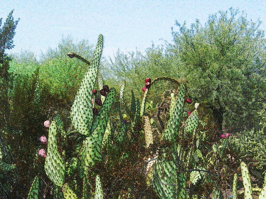 Landscape Photograph - Cows Tongue Cacti by Deborah Hildinger