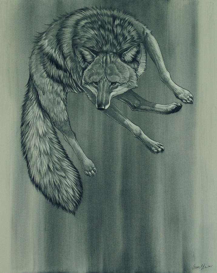 Coyote Digital Art - Coyote by Aaron Blaise
