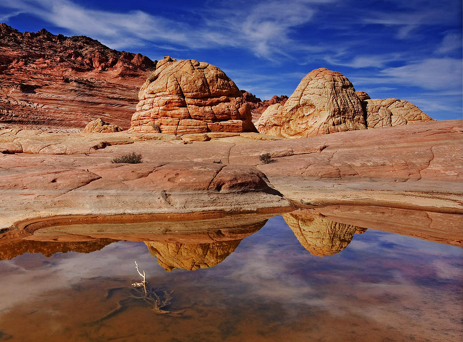 Desert Photograph - Coyote Butte Reflections by Michael Dawson