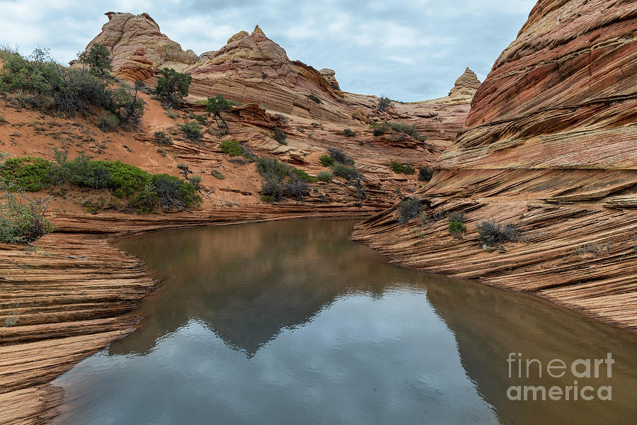 Coyote Buttes Morning Photograph by Sandra Bronstein