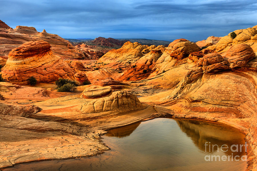 Coyote Buttes North Waterpocket Photograph by Adam Jewell