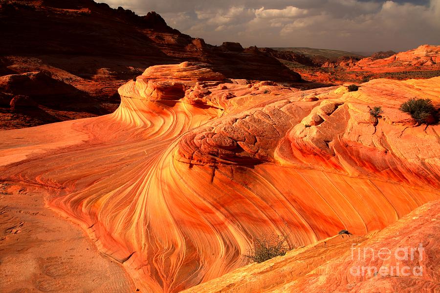 Coyote Buttes Rainbow Dragon Photograph by Adam Jewell