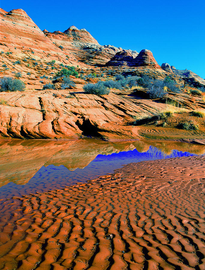 Coyote Buttes Reflection Photograph by Frank Houck