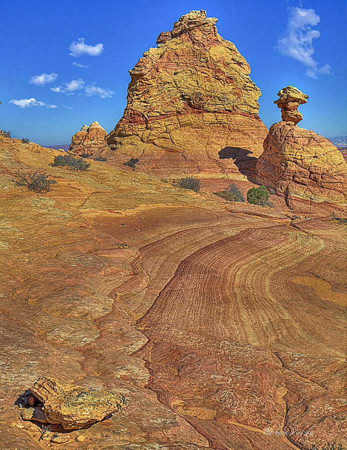 Coyote Buttes South, Arizona Photograph by Barbara Vietzke - Pixels