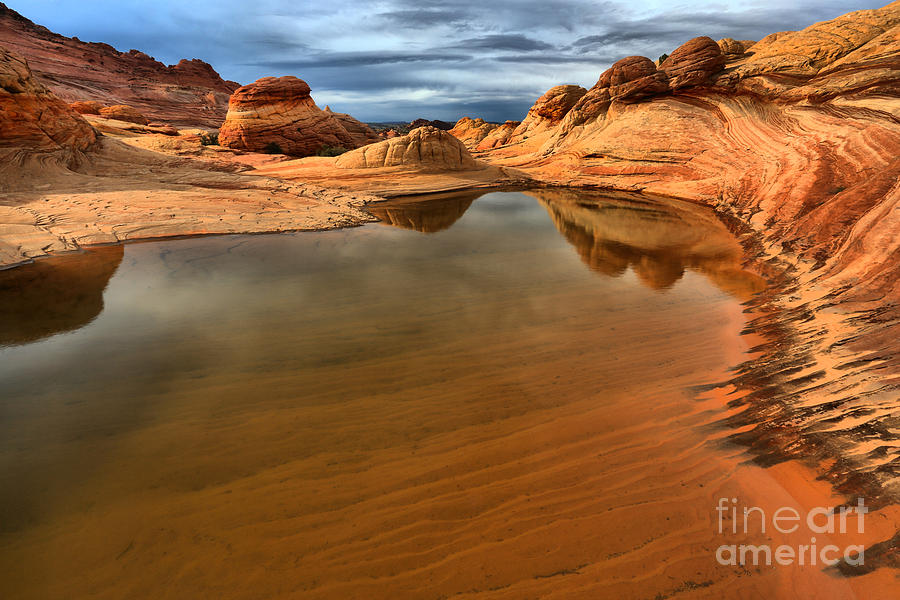 Coyote Buttes Swimming Pool Photograph by Adam Jewell