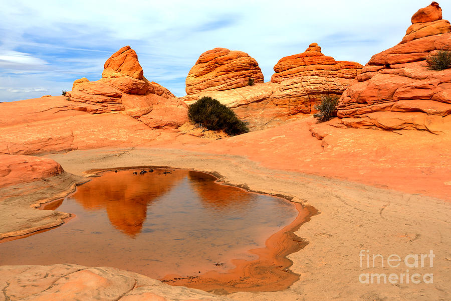 Coyote Buttes Tower Reflections Photograph by Adam Jewell