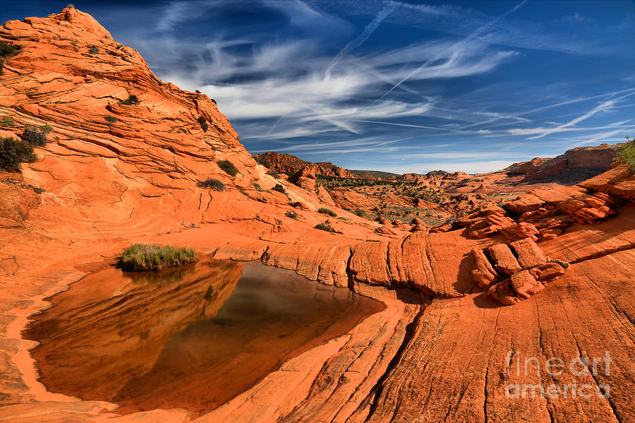 Coyote Buttes Wilderness Reflections Photograph by Adam Jewell