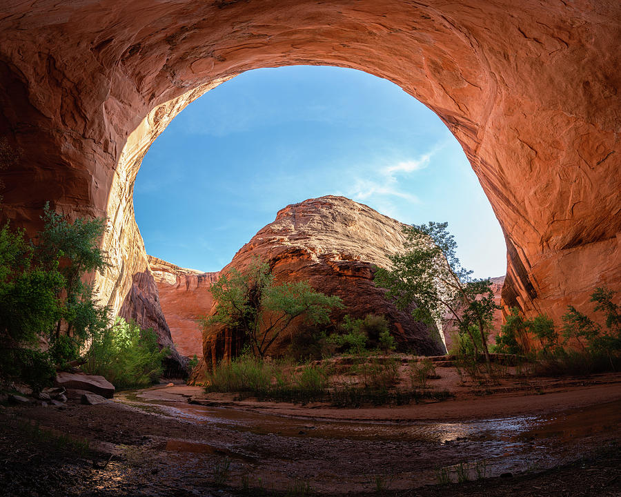 Coyote Gulch Utah  Photograph by James Udall
