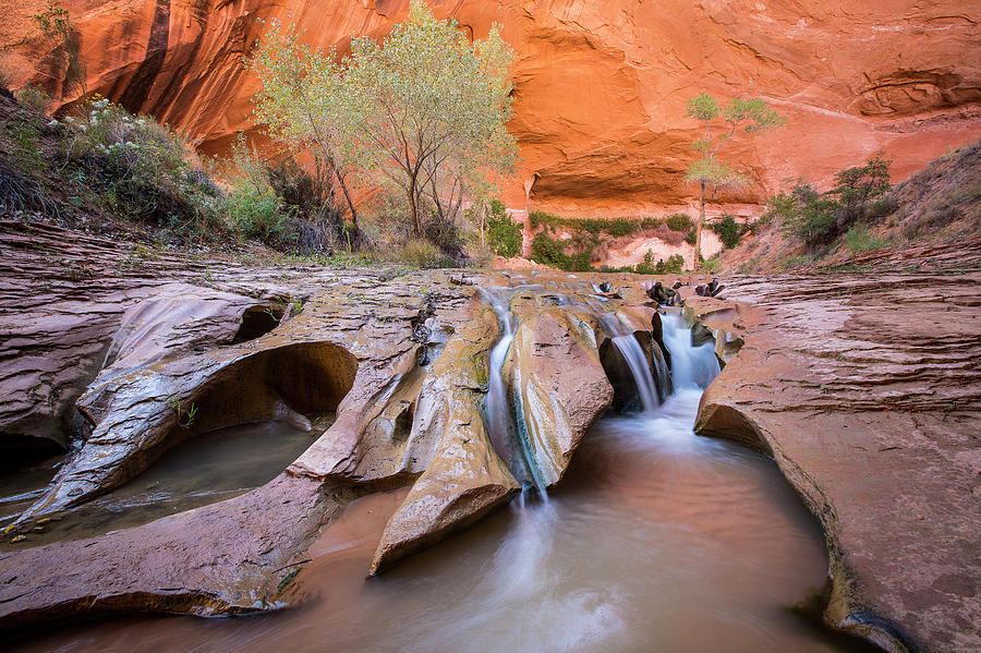 Coyote Gulch Photograph By Whit Richardson Pixels