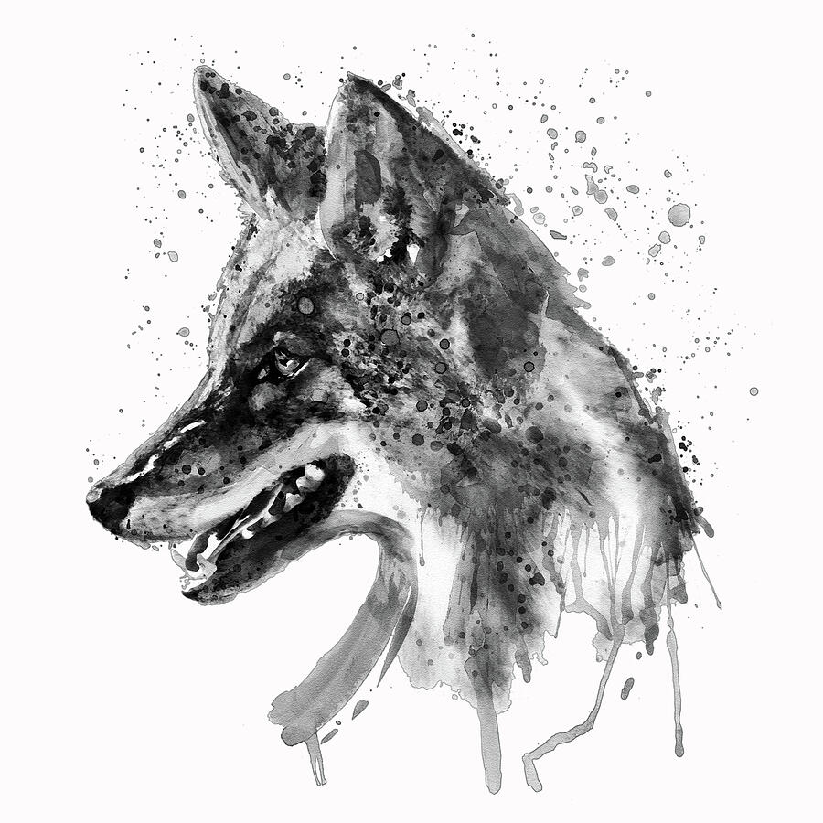Coyote Head Black and White Painting by Marian Voicu