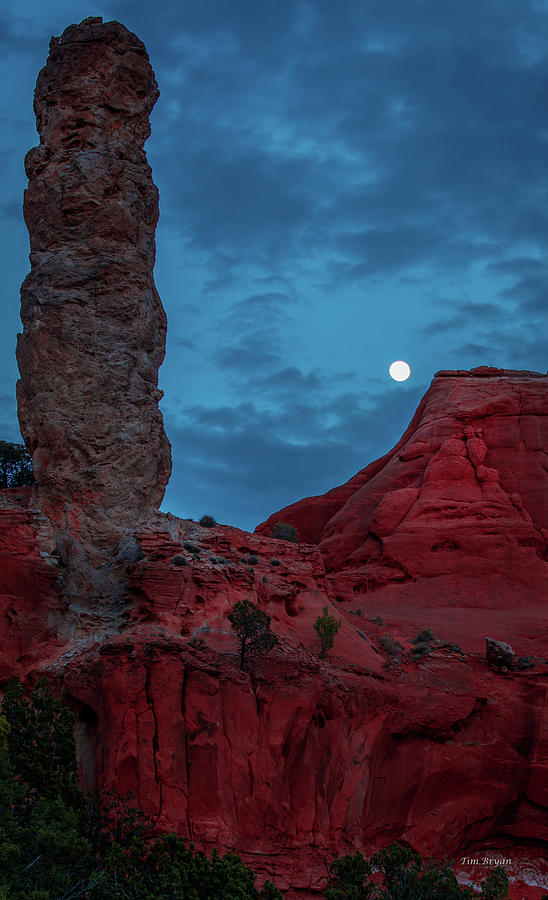 Sunset Photograph - Coyote Moon  by Tim Bryan