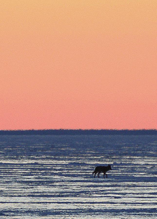 Coyote On The Lake Before Sunrise Two Digital Art by Lyle Crump